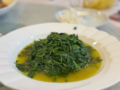 -孔庆璞河豚馆(白玉兰酒店)