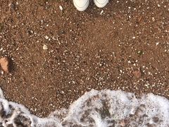 -爱舍海岸酒店(香港中路五四广场店)