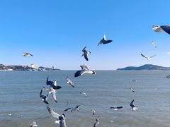 -幸福门