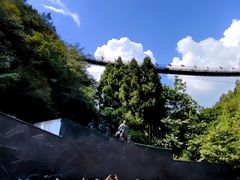 -娄山关景区