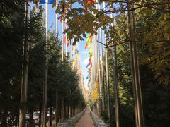 -长春世界雕塑园冰雪艺术天地