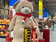 -麦德龙(郑东店)