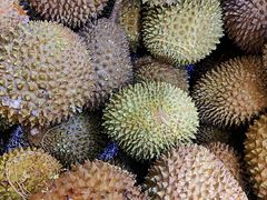 -开皇马来西亚榴莲美食店(华强北店)