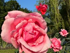 -人民公园(罗湖区)