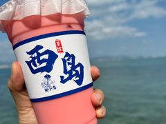 -三亚西岛海洋文化旅游区