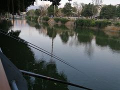 -光明港公园