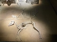 -洛阳周王城天子驾六博物馆