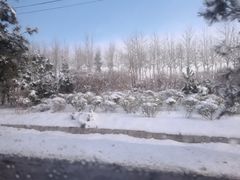 -威海大水泊国际机场