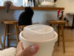 -有猫主题·治愈系猫咖(曾厝垵店)