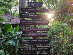-卷心菜和避孕套餐厅(Pattaya)