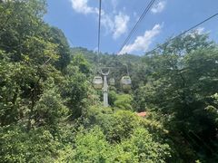-黔灵山公园