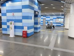 -大望路(地铁站)