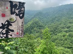 -青城山
