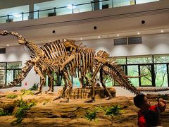 -自贡恐龙博物馆