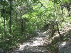 -阳台山自然风景区