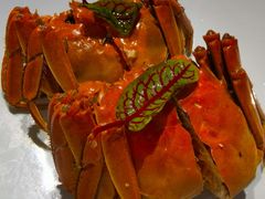 -颂福楼·南京菜(定淮门店)