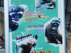 -保定市动物园
