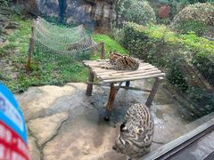-杭州野生动物世界
