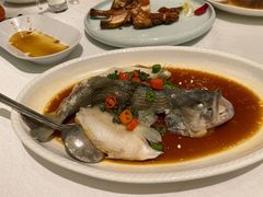 清蒸鲈鱼-湛江菜.江南首席(昆山店)