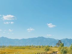 -野鸭湖国家湿地公园