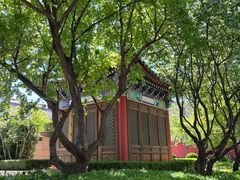 -王府半岛酒店