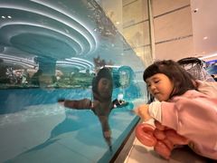 -帝企鹅自助餐厅•儿童岛•真企鹅(长隆企鹅酒店)