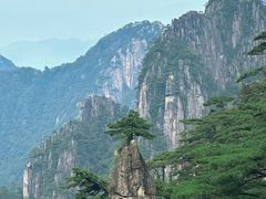 -黄山白云宾馆