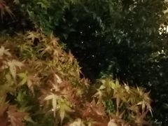 -苏州环秀晓筑养生度假村