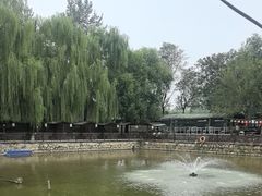 -尚庄度假村·庭台树下·户外烧烤·团建CS·轰趴营地(上庄水库店)