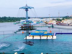 -秦皇岛乐岛海洋王国