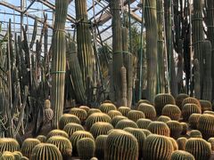 -南山植物园