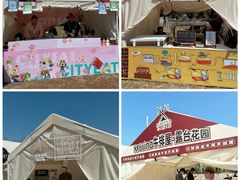 -北京雁栖湖国际会展中心