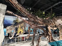 -国家自然博物馆