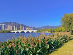 -飞来湖湿地公园