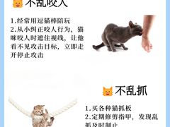 -申普宠物医院·眼科·心内科·影像科(普陀分院)