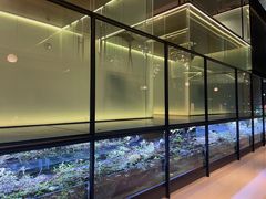 -CHIC1699远洋私厨