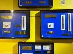 -上海昆虫博物馆