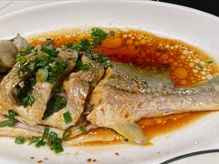 葱油大黄鱼-金海湾海鲜排档(朱家尖店)