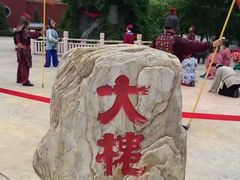 -大槐树寻根祭祖园