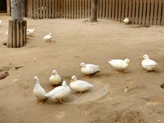 -郑州银基国际旅游度假区