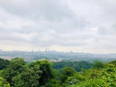 -火炉山森林公园