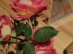 -半秋山西餐厅(巴南万达广场店)