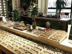 -A380视光·蔡司眼镜店(锦艺城店)