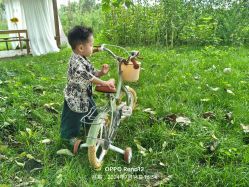 -DORA kids 朵拉儿童摄影花园店