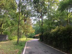 -青龙山国家森林公园
