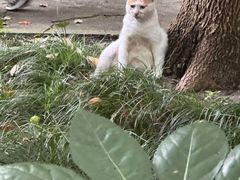 -华东政法大学(松江校区)