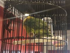 -清真·京华源铜锅涮肉(丰庆店)