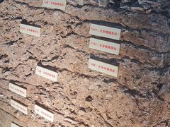 -南越王博物院(王宫展区)