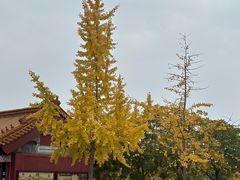 -横店影视城明清宫苑园区