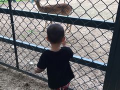 -北京麋鹿生态实验中心